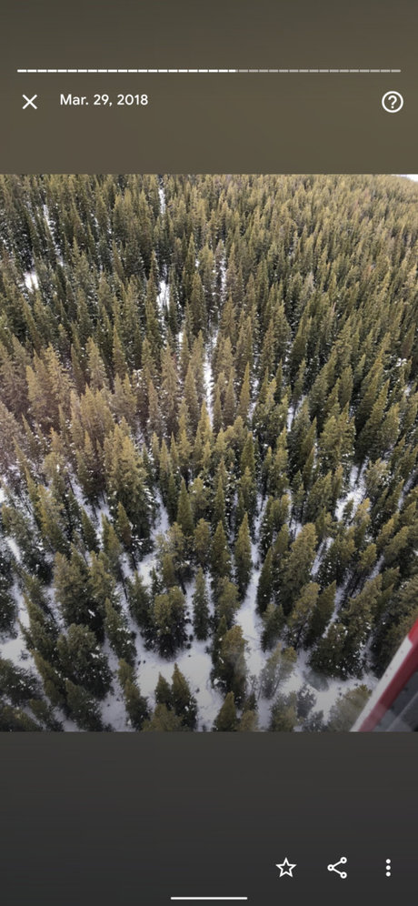 Michelle Lynn star nudes pictures