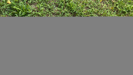 Mina Fimmel nice star image