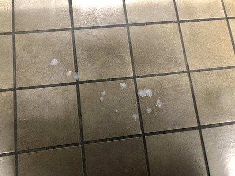 THE ASS EATER sexy pornstar image