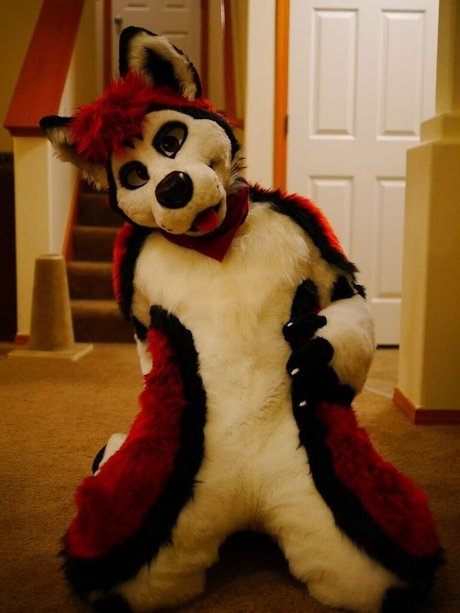 Cenny After Bark_ star naked pictures