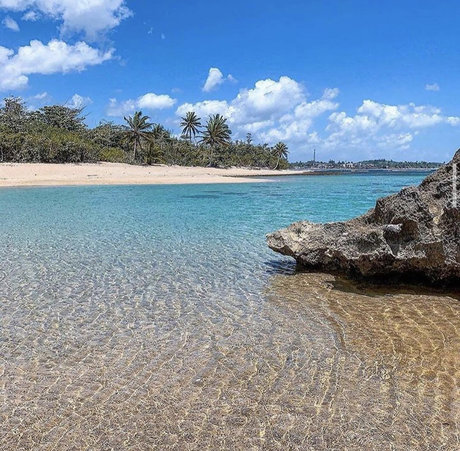 Caribbean Boy_ perfect pornstar image