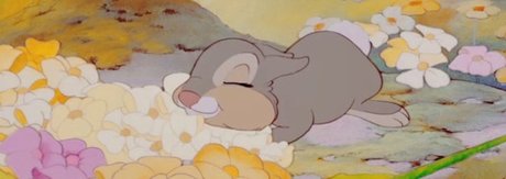 Milk and Sugar_ sexy star pics