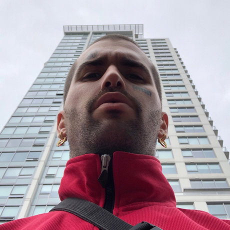 CartierHartt star free photo