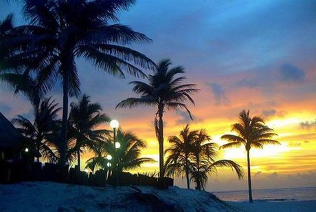 Milagros Miller star porn pic