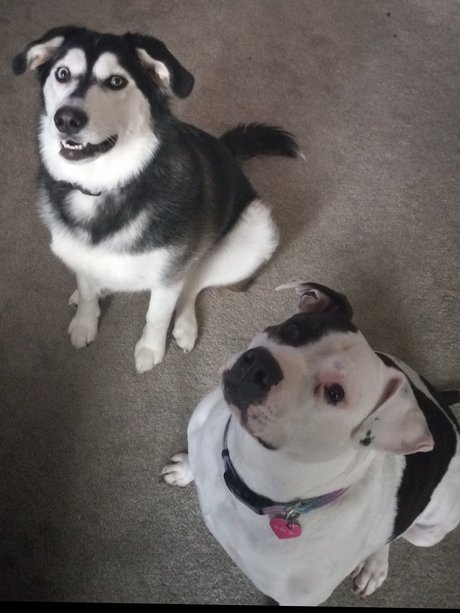 Karah sexy model img