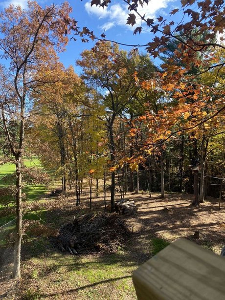 Cara Arizpe model free image