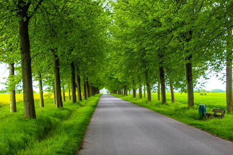 LuisasFantasyJourney model nudes images