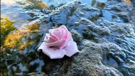 Miss Love Heart nice pornstar pictures