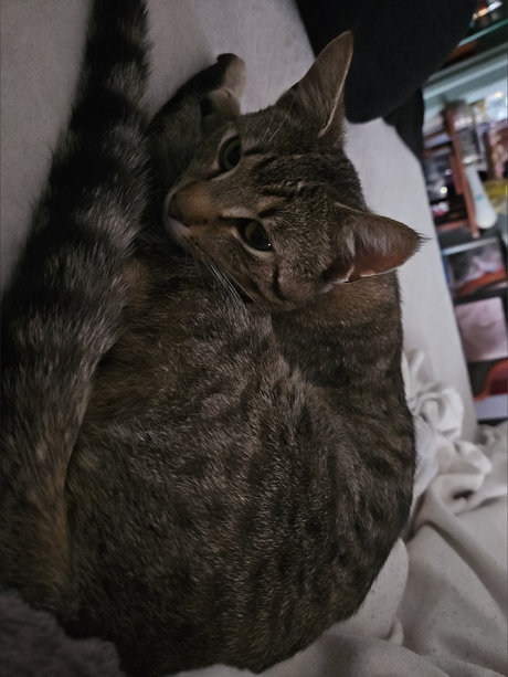 _Auntie Carrie_ hot pornstar photo