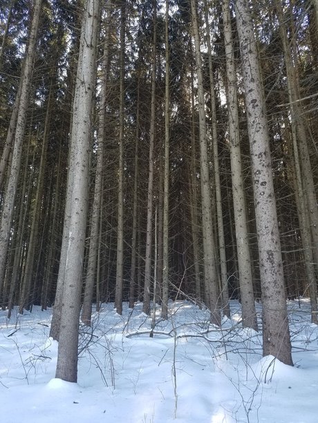 Jason Slate nude model pic