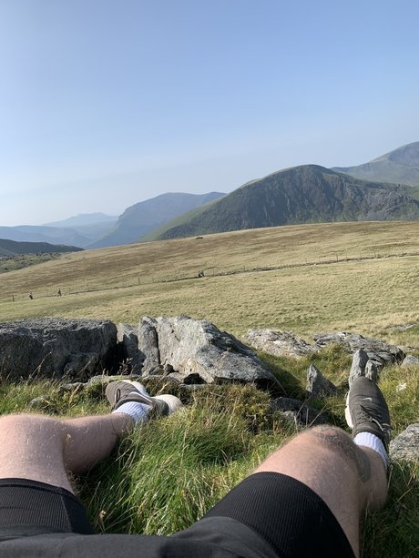 Ceiling fan beautiful model image