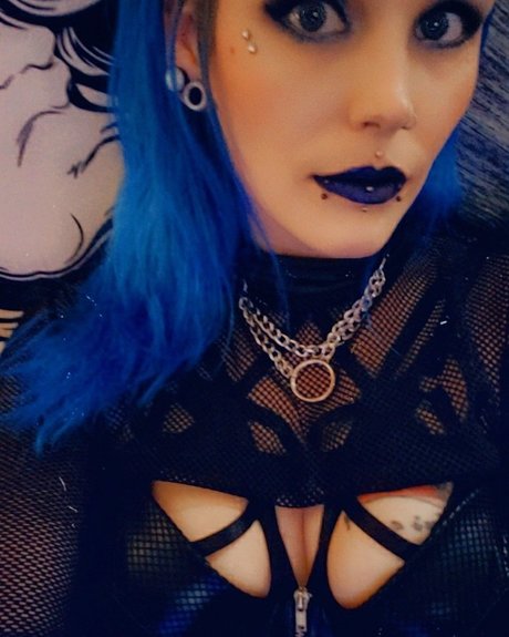 Seven Cat exclusive star img