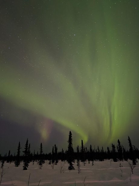 Hot Thots nudes actress images