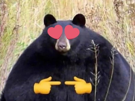 JB the Jawbreaker Bear model exclusive pictures