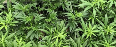 Kara Mel_ hd actress image