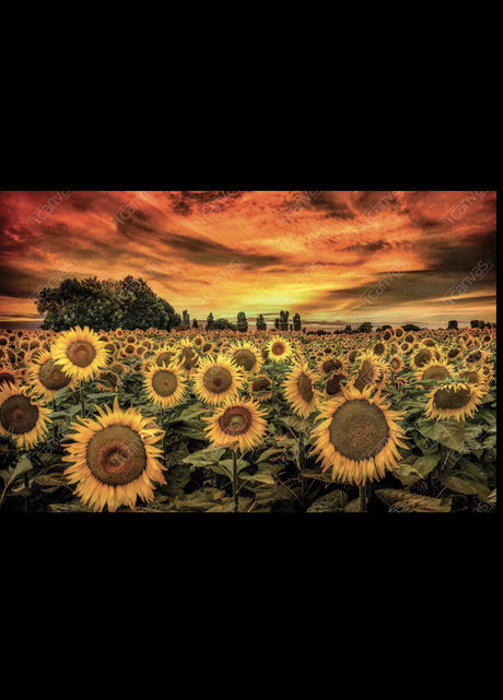 Brittany Snow nude model images