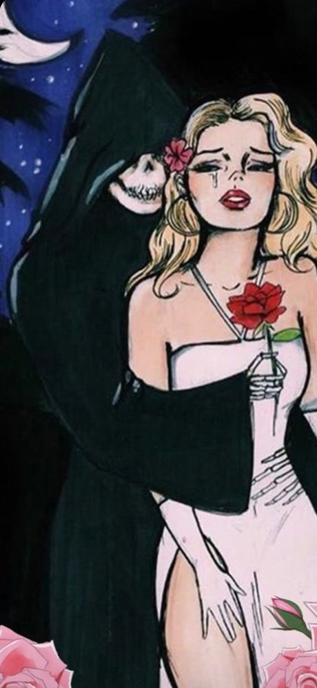 pocket pussy xxx star picture