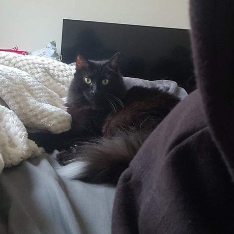 Camie Beilschmidt pornstar art picture