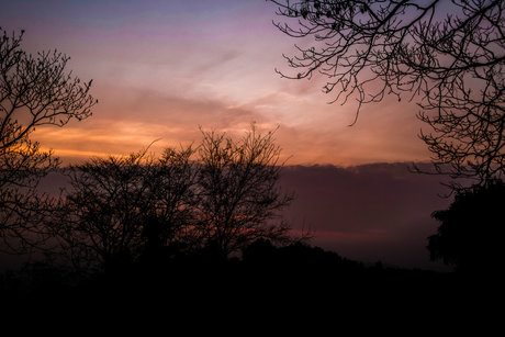 Jojo Kat pornstar free galleries