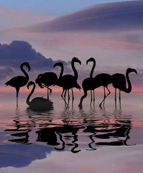 Chrissy G top model pics