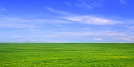 Grennbeans42 xxx pornstar photos