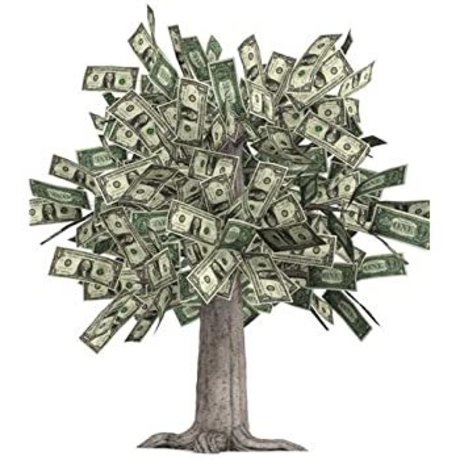 Mr ChangeYoLife pornstar gallery