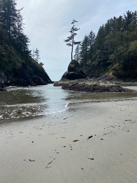 Mr SBSC high quality model galleries