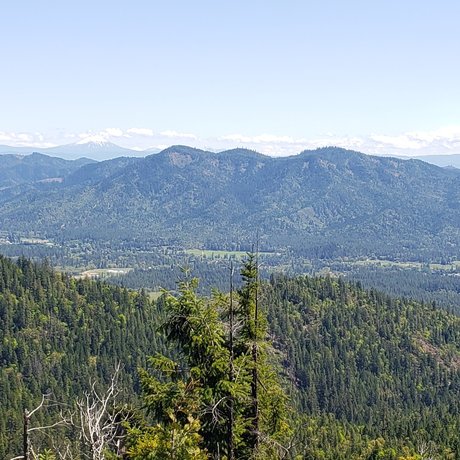 Mountainman model pornographic galleries