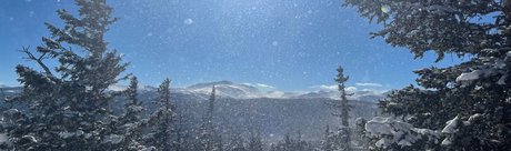 Alisha Dallas best pornstar photos