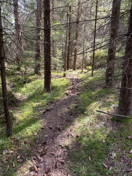 MaryKay pornstar pictures