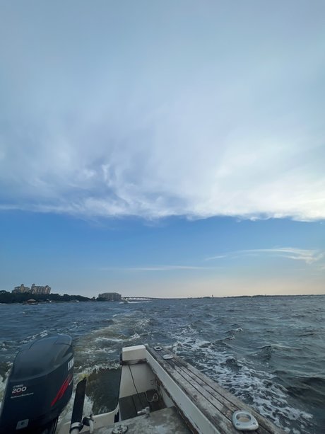 florida baby model exclusive photo