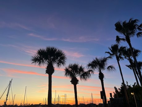 H A N N A H star naked img