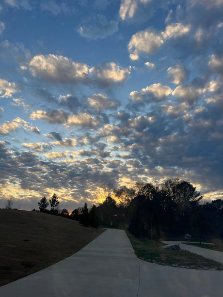 GuaranteemoneyBo nudes actress photo