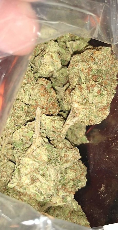 Mr Traditional erotic actress archive