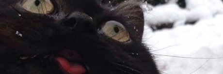 mrkittymeyers pornstar high quality photos