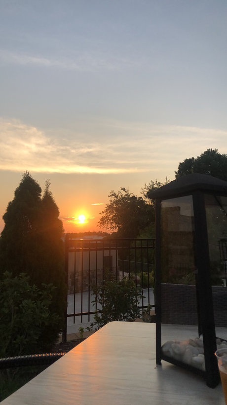 Tony Gram top star pics