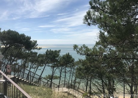 redarmy top star picture