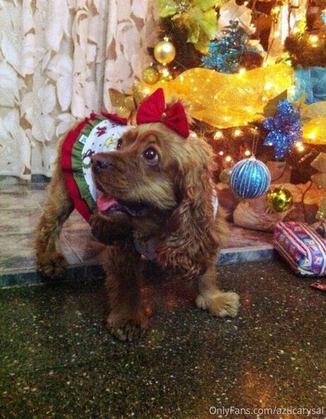 fat black onlyfans free sex photo