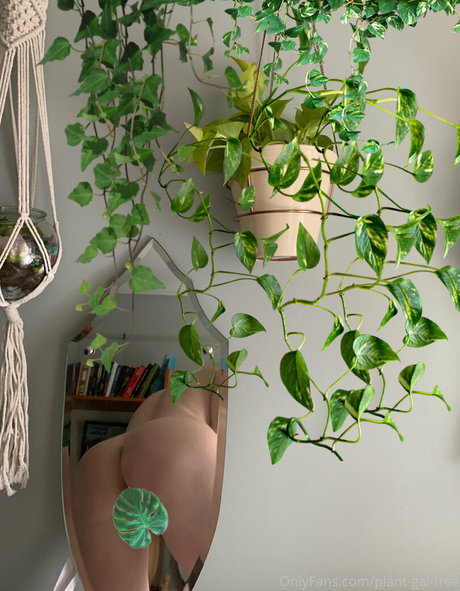 plantgalfree nice pornstar gallery