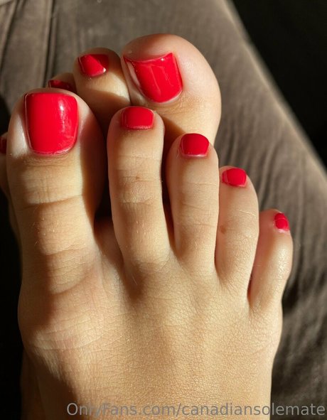 canadiansolemate hd star pictures