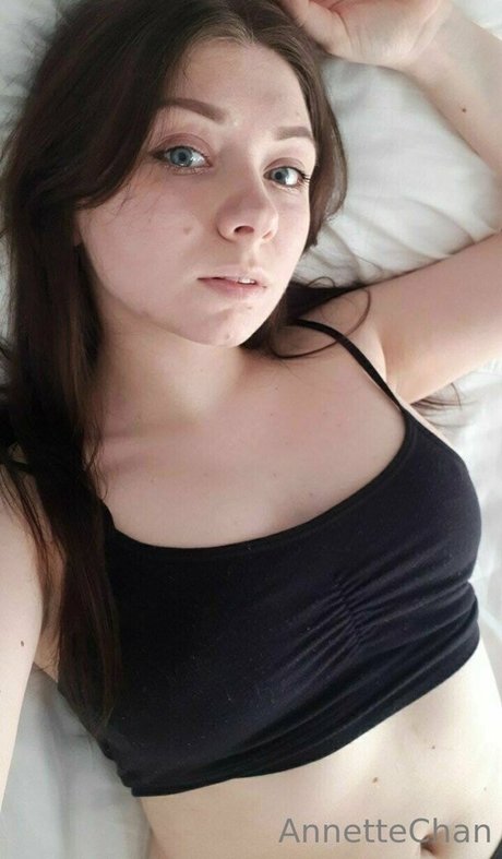 annettechan nice star galleries