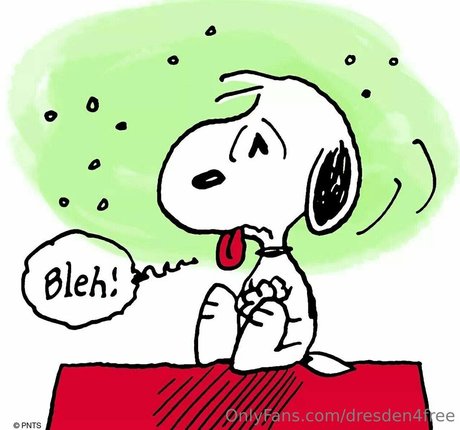 dresden4free porn star photo