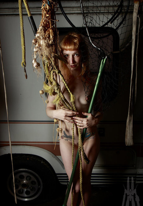 SDFoto hot star photos