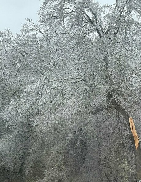 Nocturnal Virus pornstar best gallery