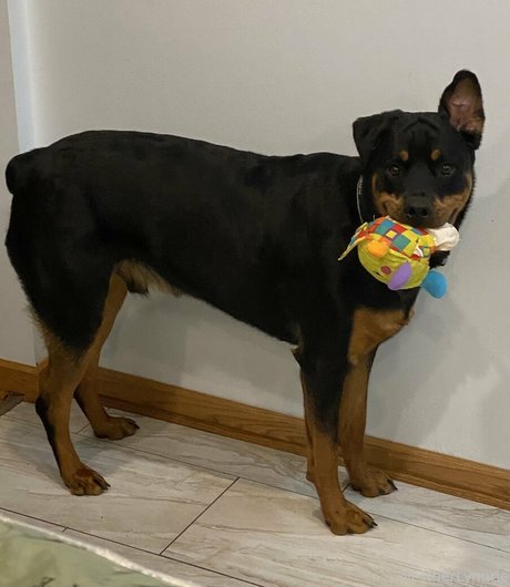 girlfriend onlyfans exclusive photo