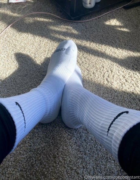 cocofreda best star archive