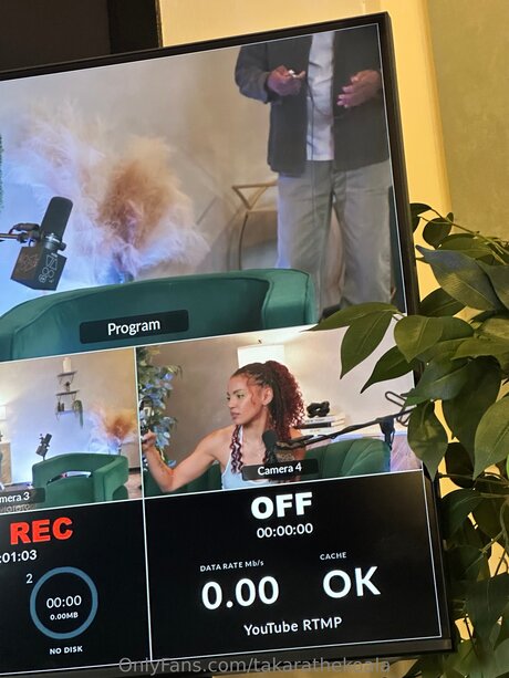 Takarathekoala model image