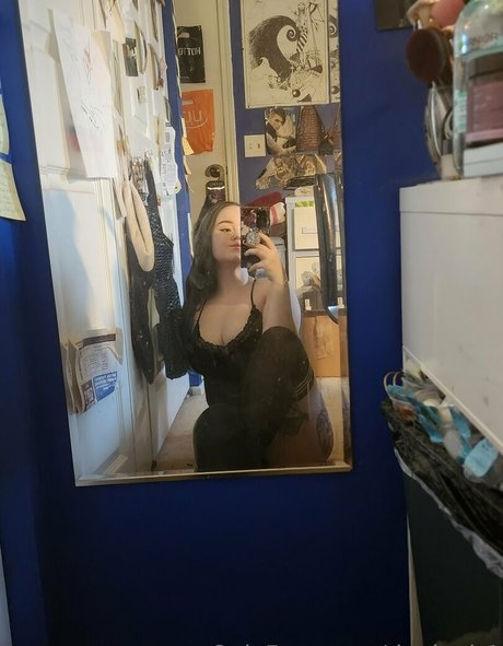 daninoir1 beautiful star pics