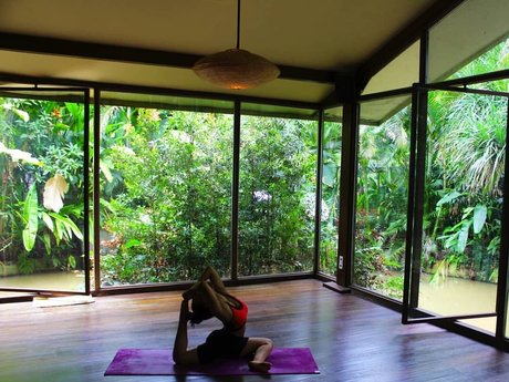 Feelinfree star top image