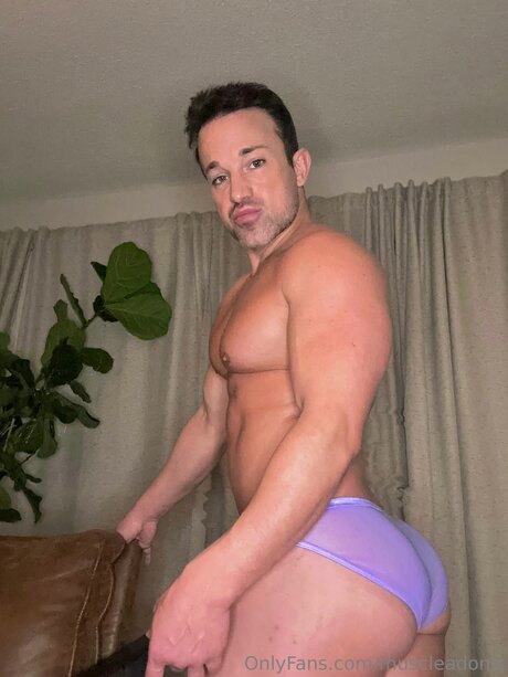 D A_ high quality star galleries